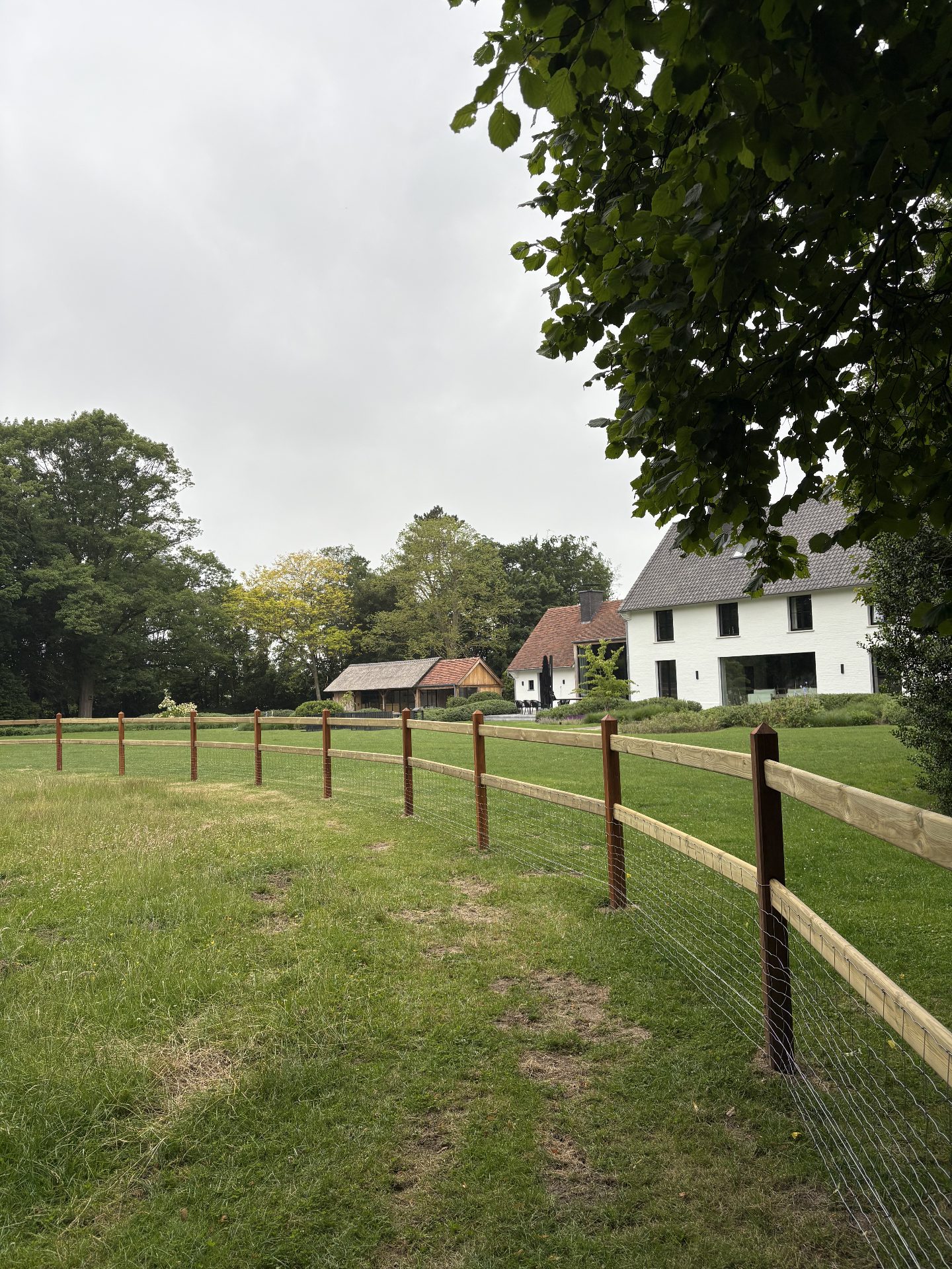 Two-rail fencing line towards a farmhouse