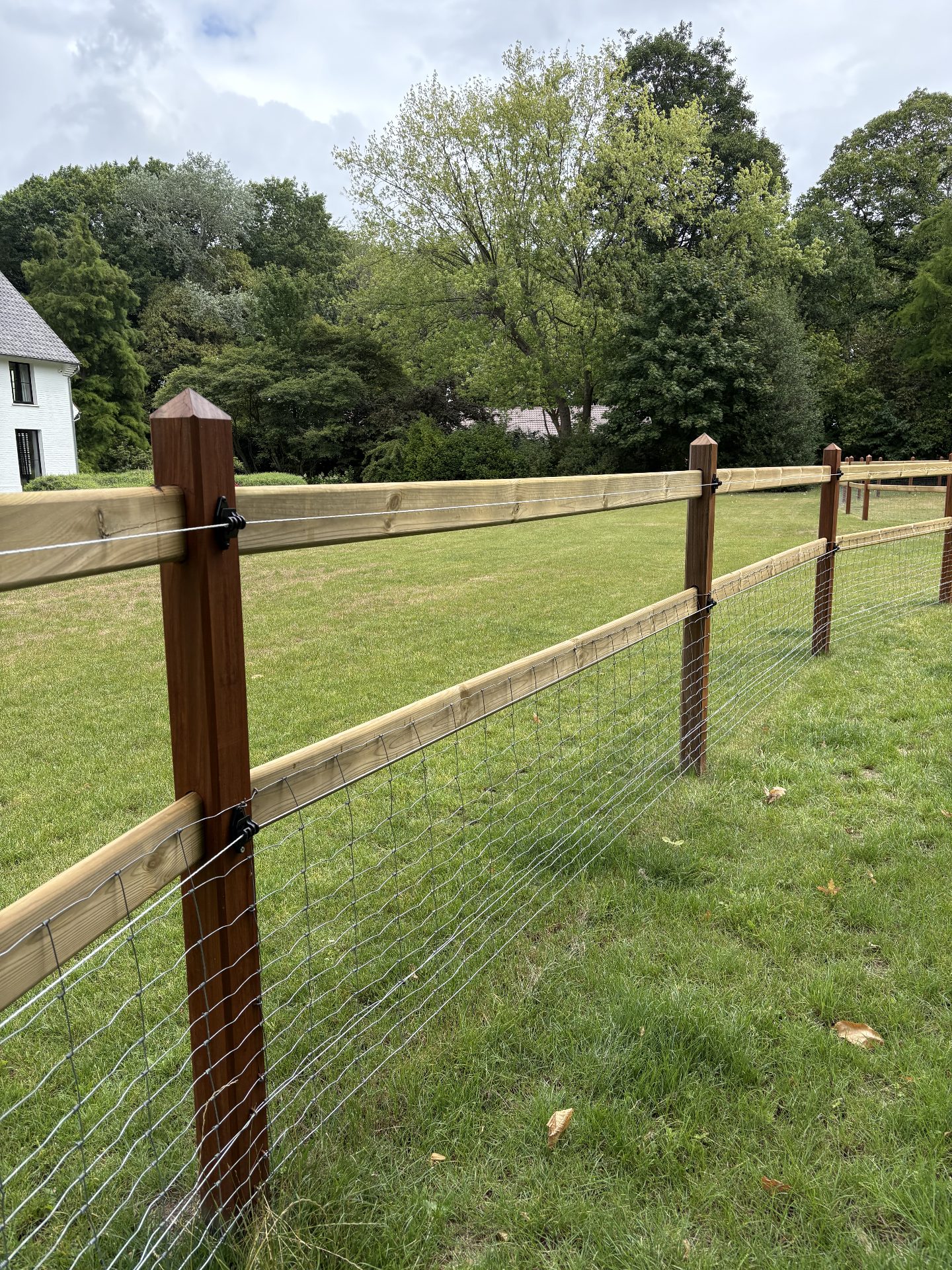 Two-rail fencing with integrated wire on hardwood posts