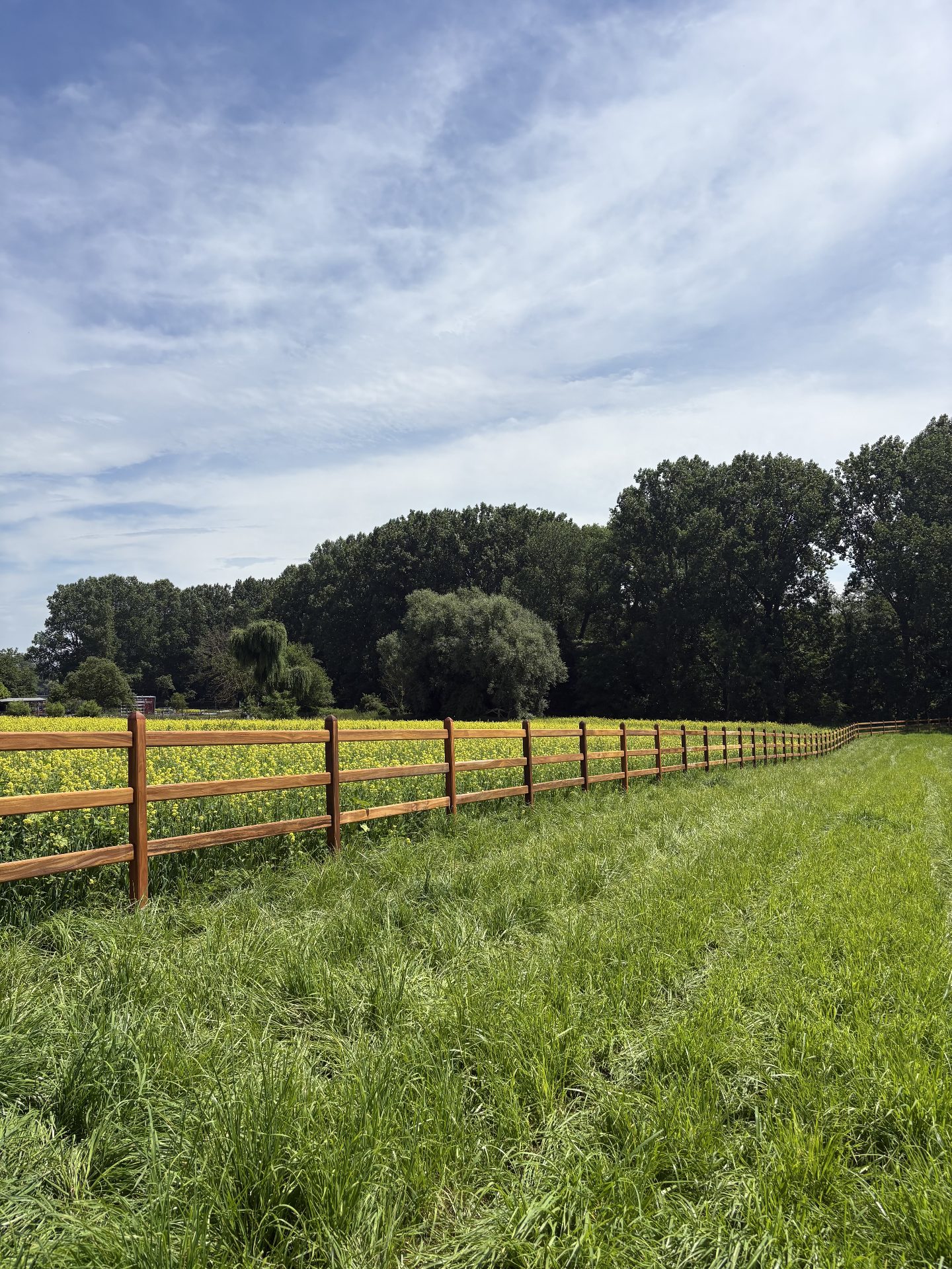 Horse fencing