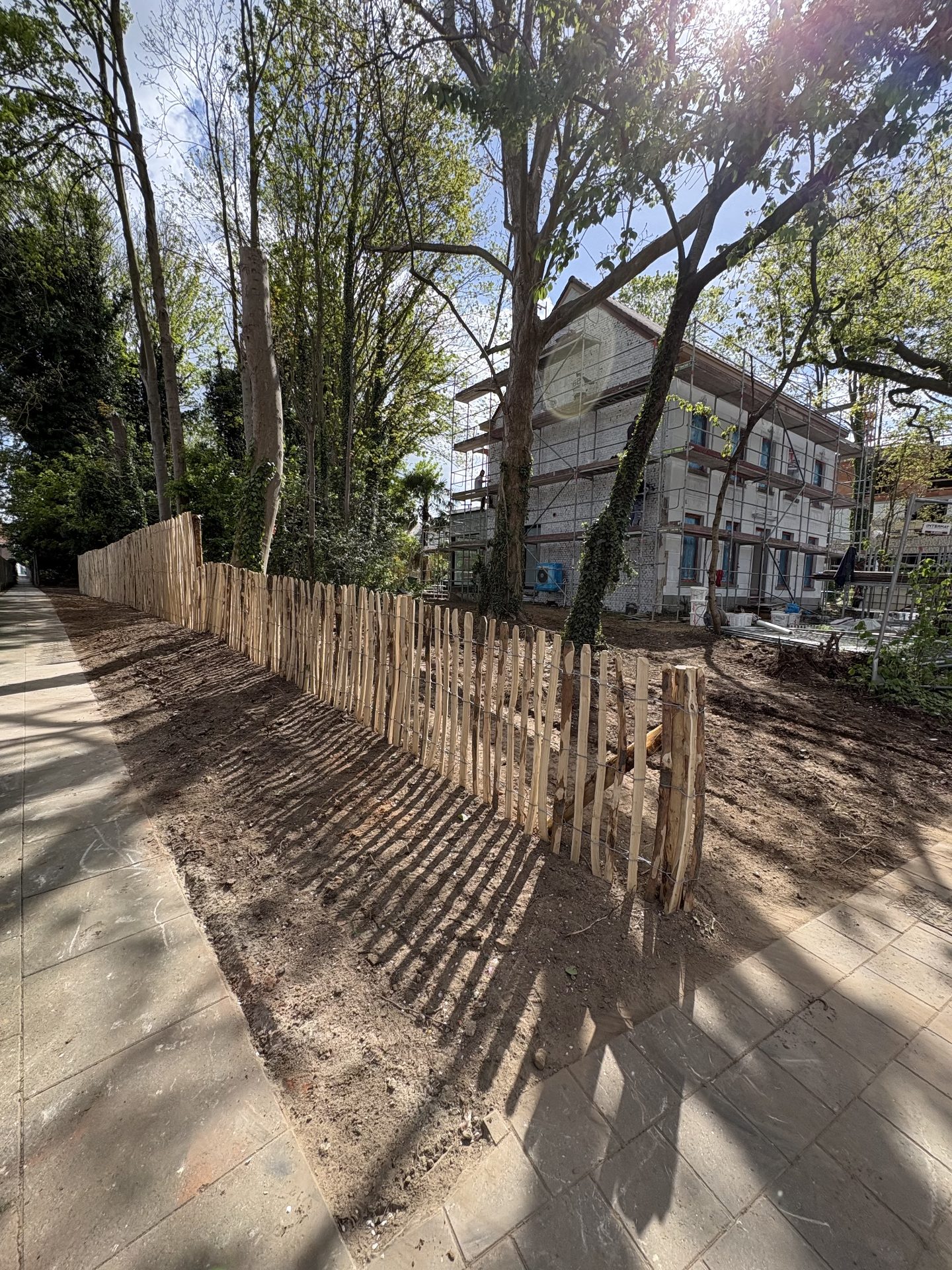 Chestnut fencing