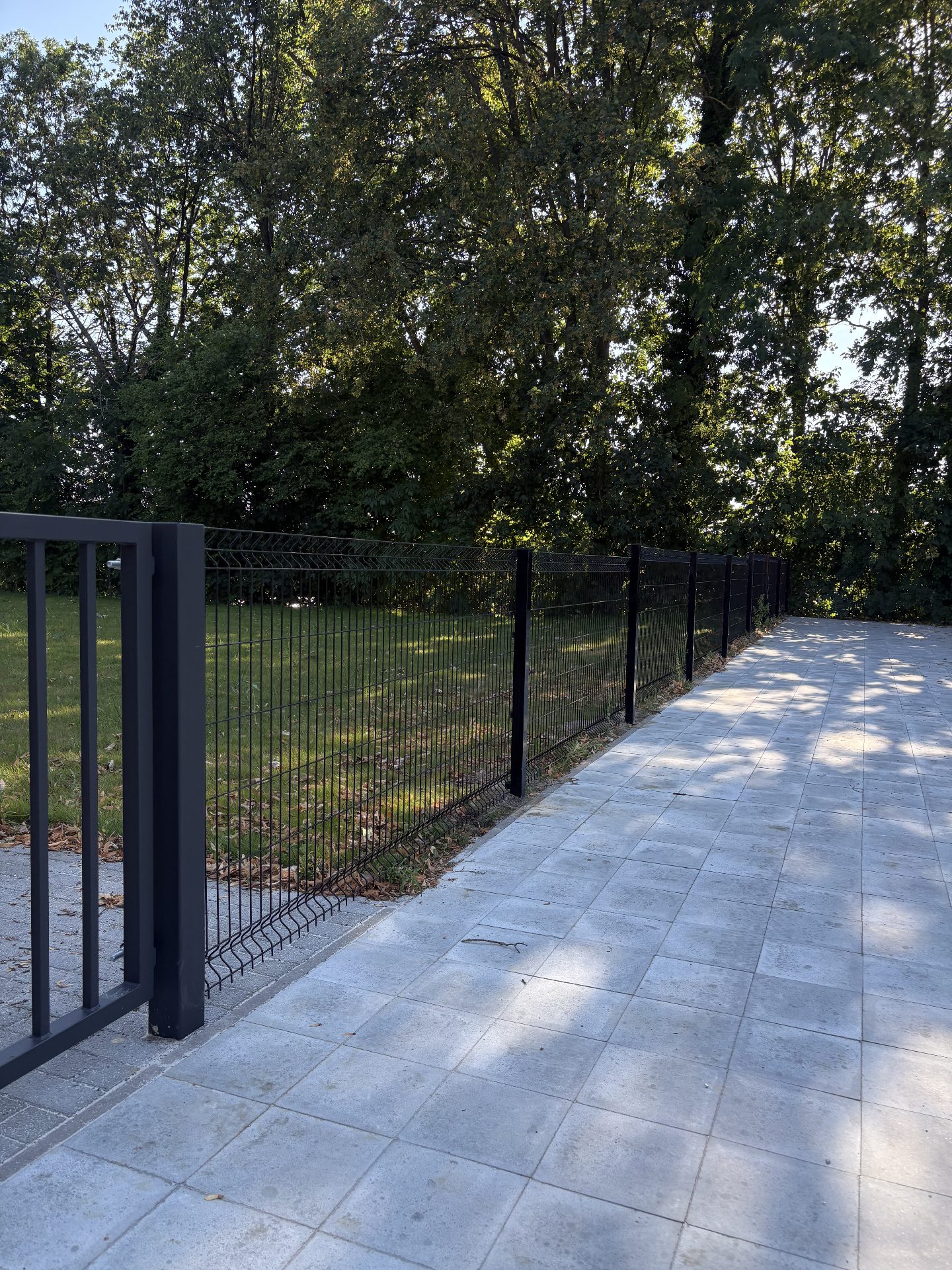 Double wire mesh fence and gate