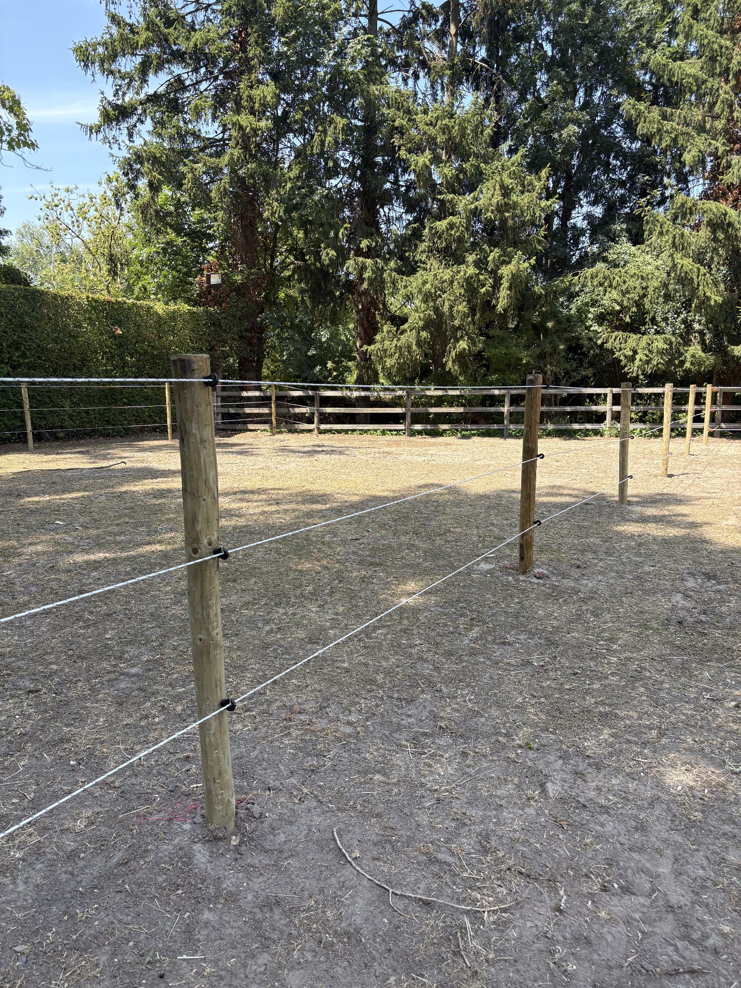 Electric tape lines on round wooden posts around a paddock