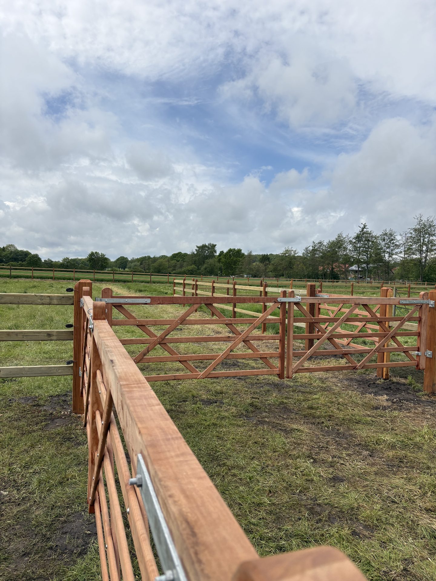 Hardwood corral gates