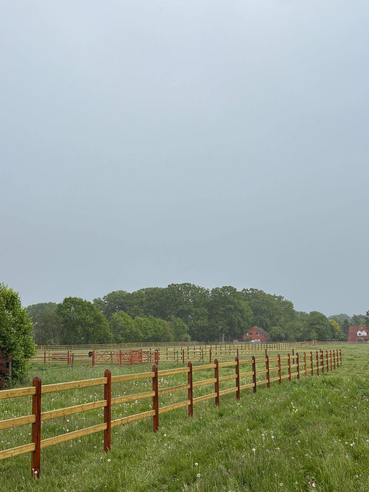 Misty pasture with wooden fencing