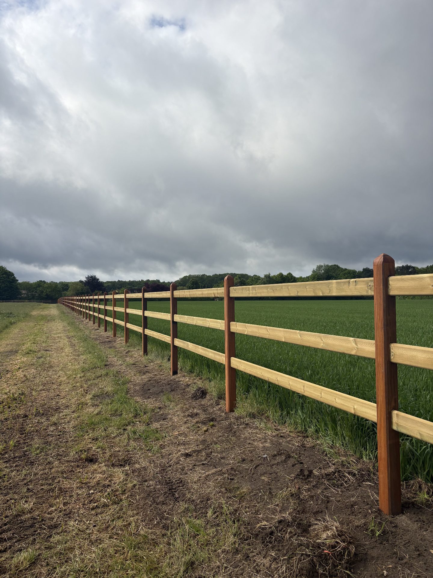 Okan fencing line at dusk