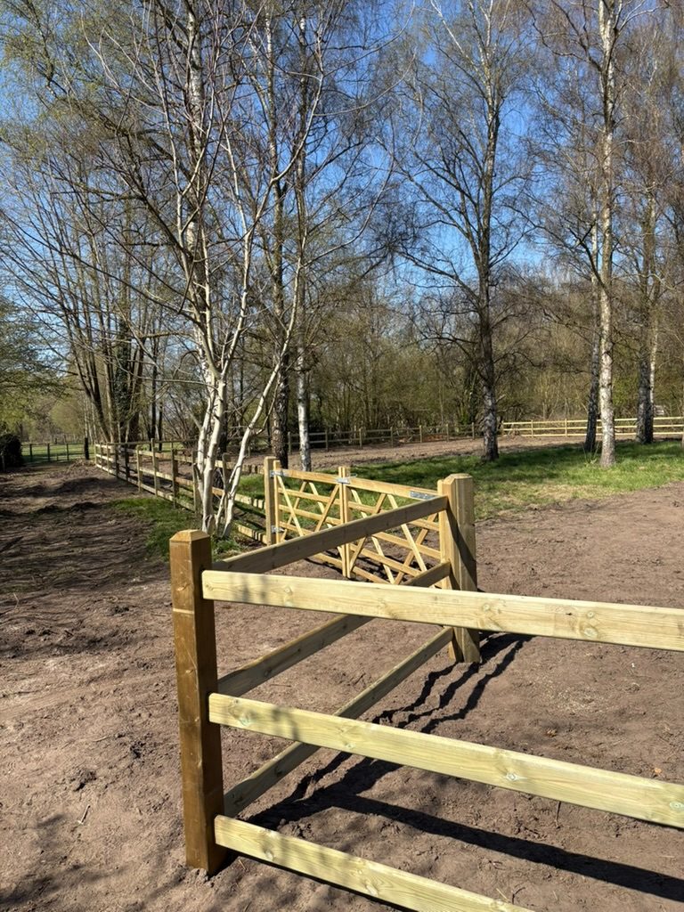 Cross-braced gate at a fence corner