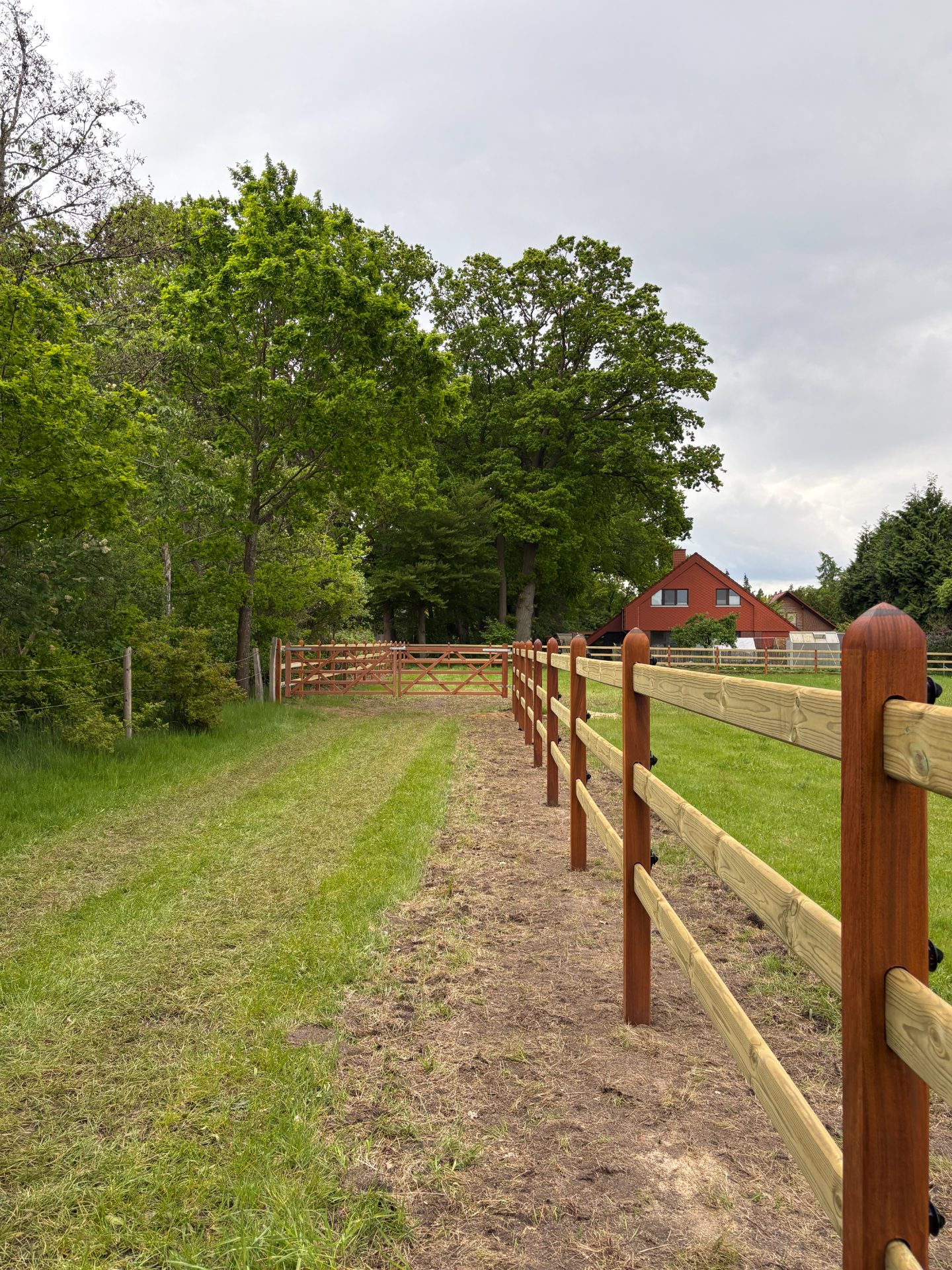 Estate horse fencing with pine rails and okan posts
