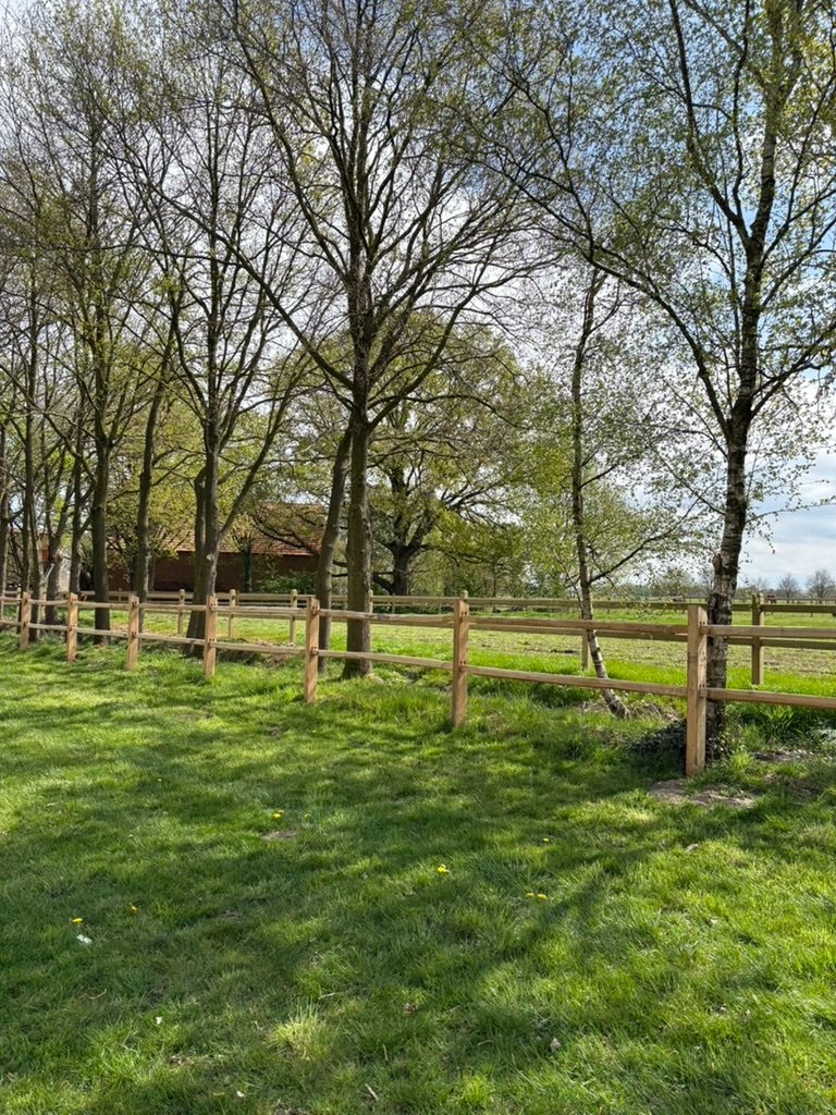 Round post paddock fencing