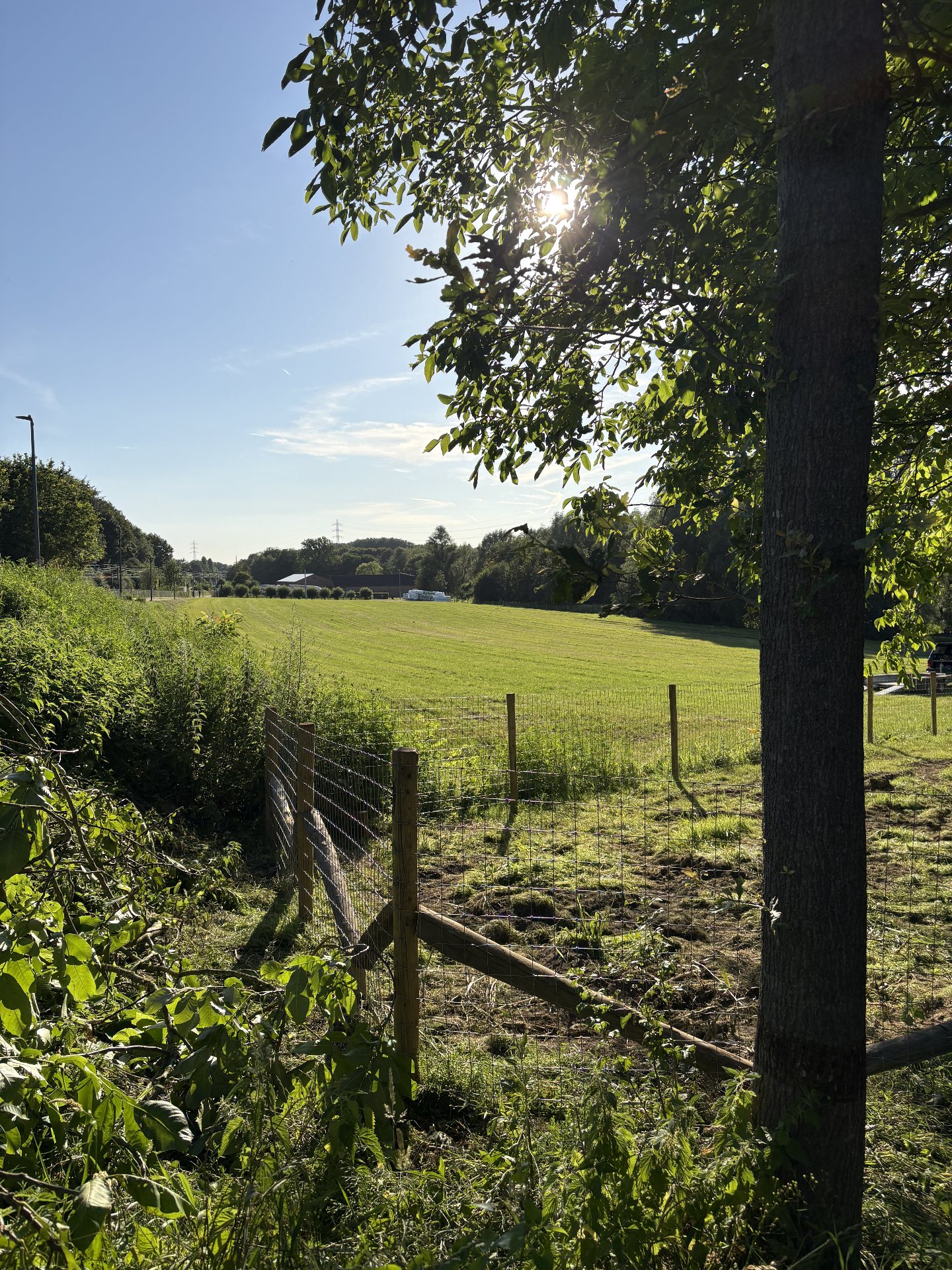 Braced corner post with tensioned sheep wire at a field entrance