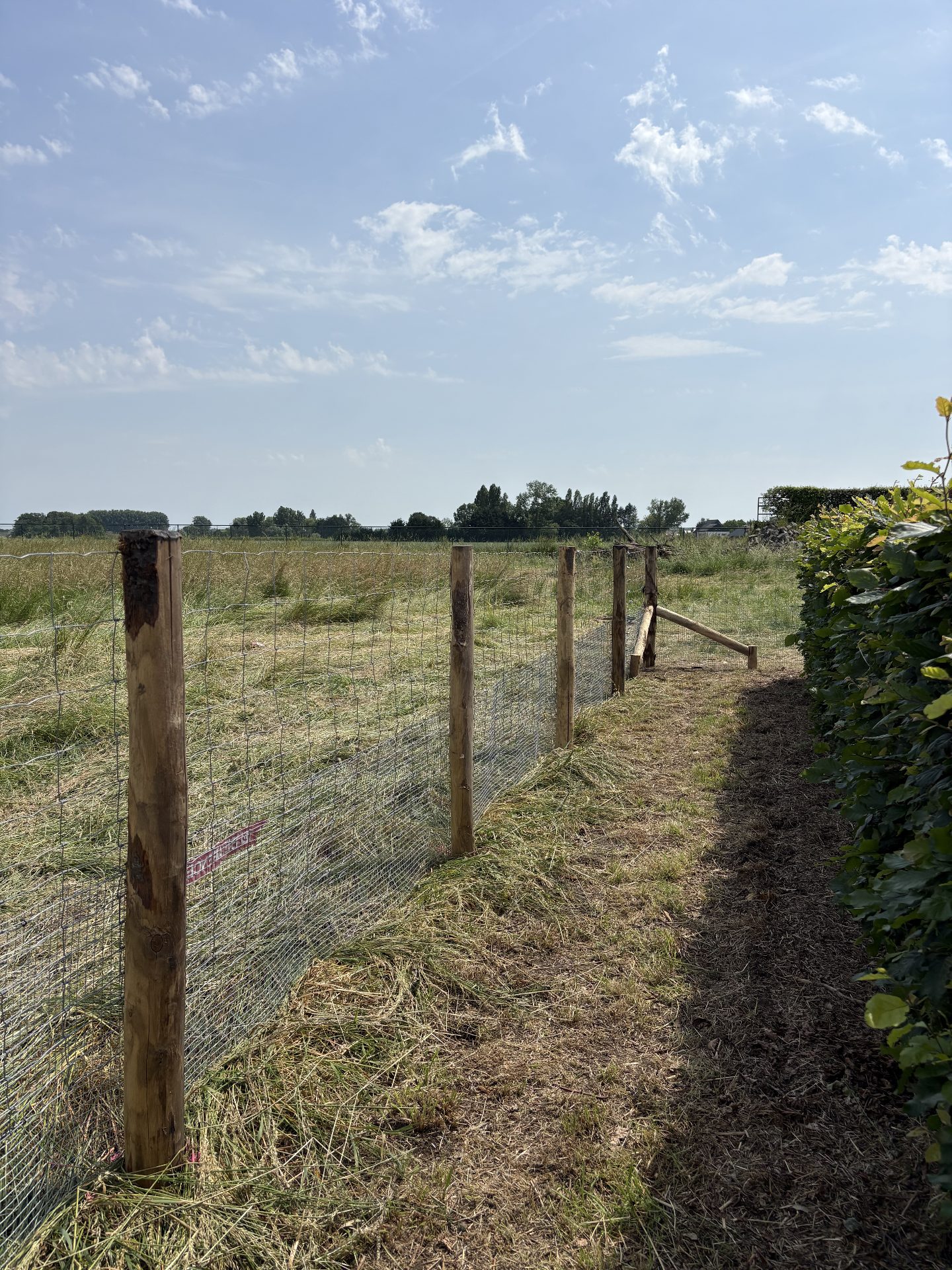 Wire mesh corner detail at a hedge