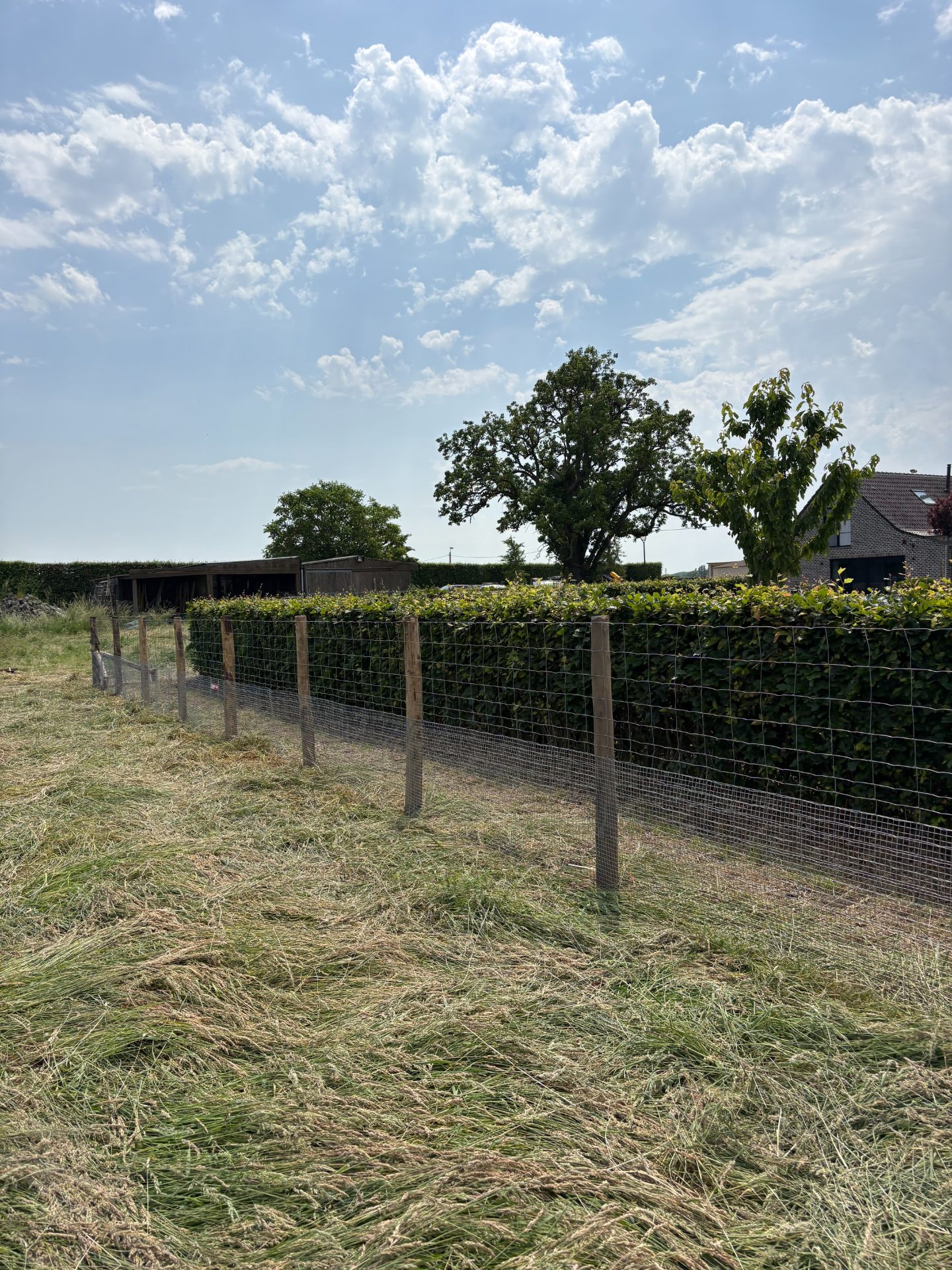 Garden wire mesh fencing along hedge
